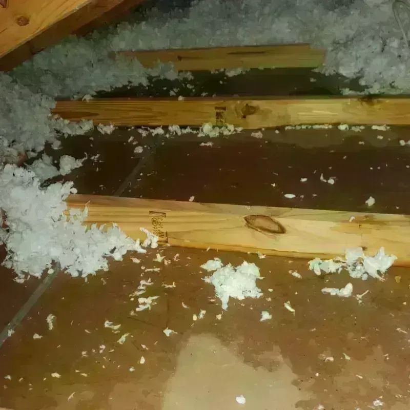 Attic Water Damage in North Brooksville, FL